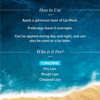 Hydrate+ Plump Lip Mask 15g